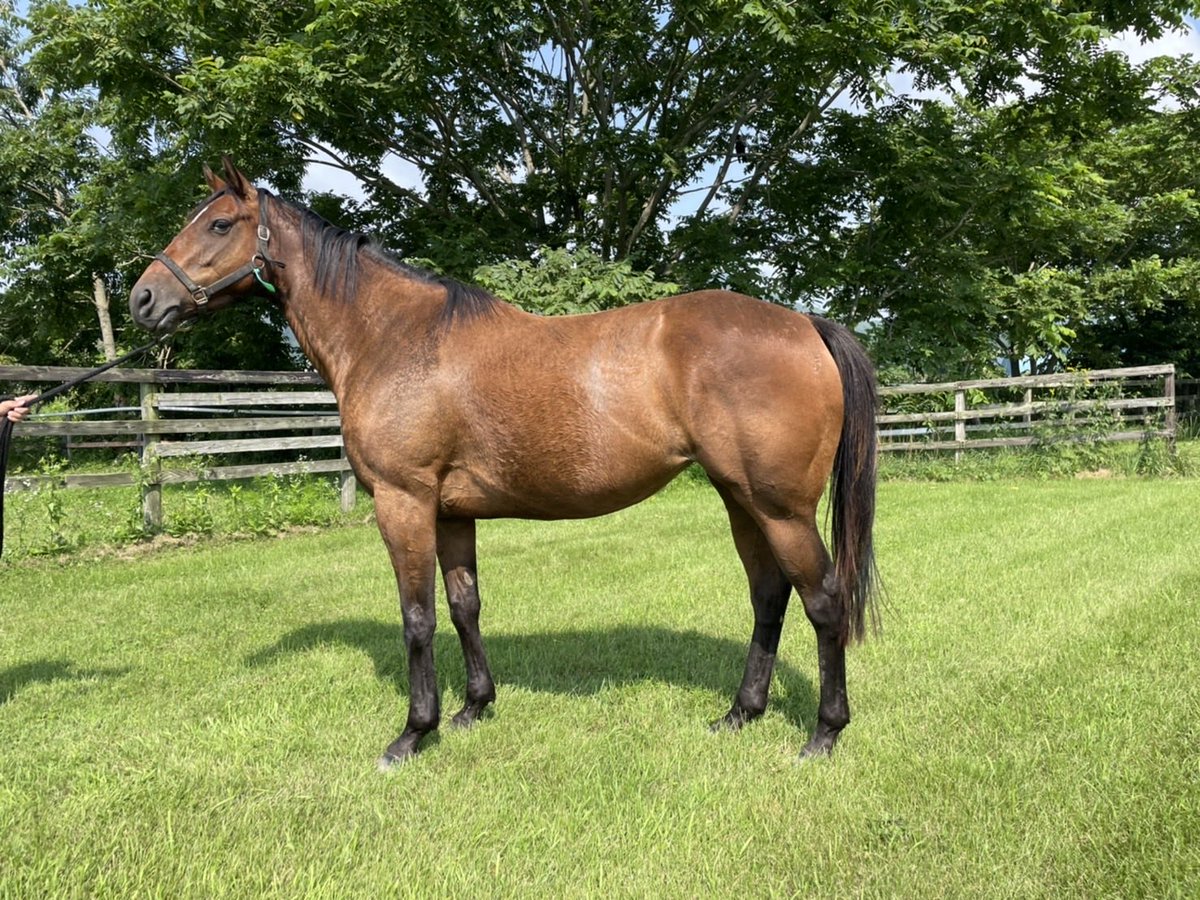 ショレアドルチェお久しぶり🥰🥰🥰
元気そうで何よりです🤗