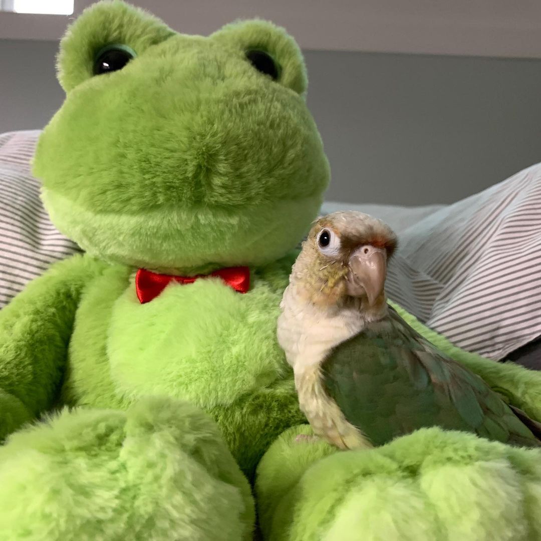 mic3344 (@mihh6787) on Twitter photo 