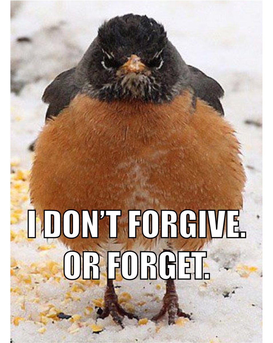 Cosmic Birds of Ornithia tweet media