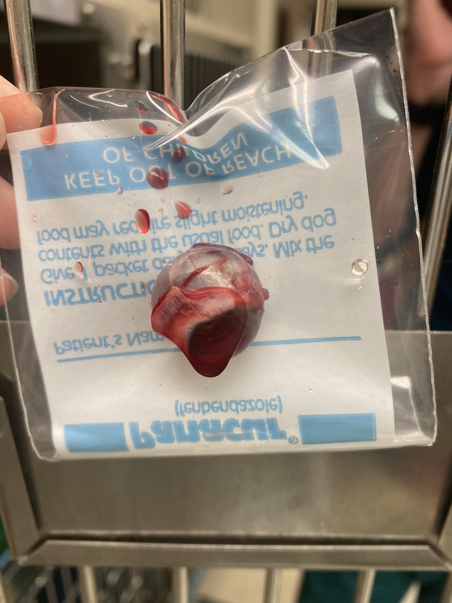 diesel411 tweet media