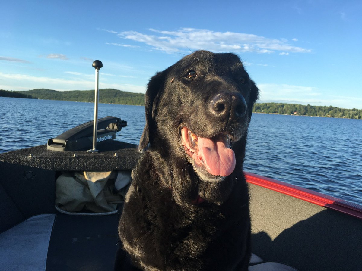 Jenny Boylan 🍯 tweet media