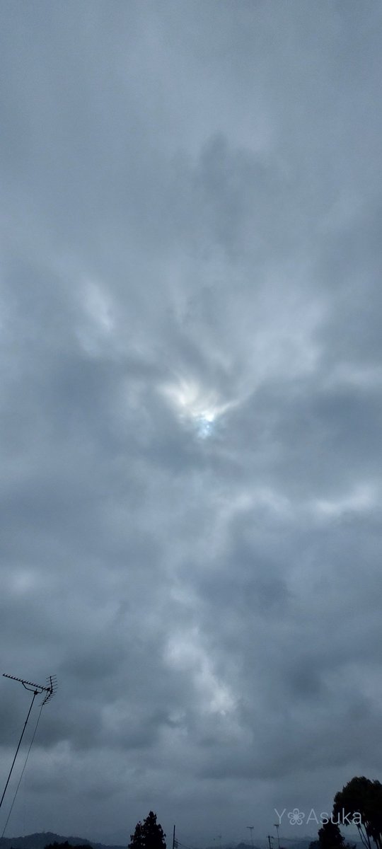 yumeasutw's tweet photo. 空一面グレーのどんより曇り空の土曜日の朝☁️
#アベリア の小花が咲いています💗
予想最高/最低気温🌡️35℃/25℃
曇りのち晴れ☁️→☀️
午前中は雲が多くお昼頃から晴れてきそうです。午後は俄か雨に御用心⛈️
#庭花 #花 #Flower
#空の名前
#雲の教室
#天気の図鑑 #雲友
#高層雲
#a2022 #a0730 #a202207 https://t.co/U4FB40I3Ac