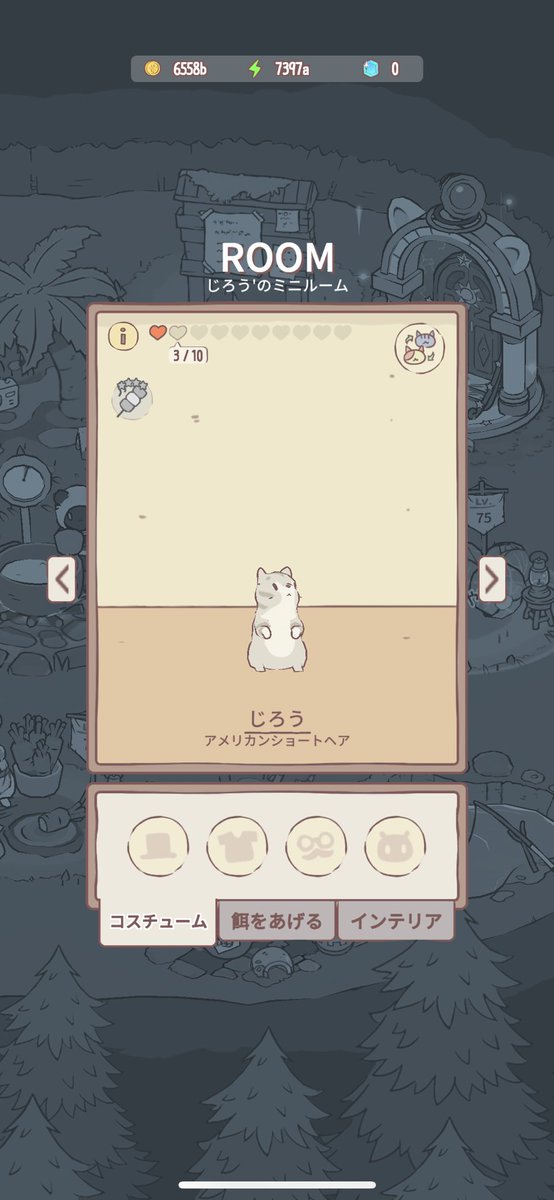 じろちゃもきたよ お顔がかわちいね 