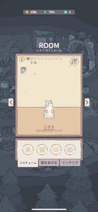 じろちゃもきたよ お顔がかわちいね 