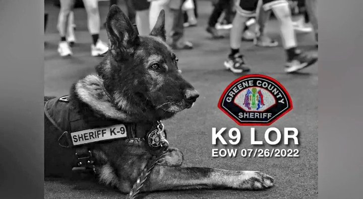 #K9Lor one of the best K9 Leos I've seen & we have 3.  Always saw an amazing bond with his dad @JamesCraigmyle an amazing team.  My heart goes out to his family @abby_craigmyle @JamesCraigmyle, at his dad's request, let's honor him by supporting  @ProjectK9Hero #K9LorRIP #OPLive