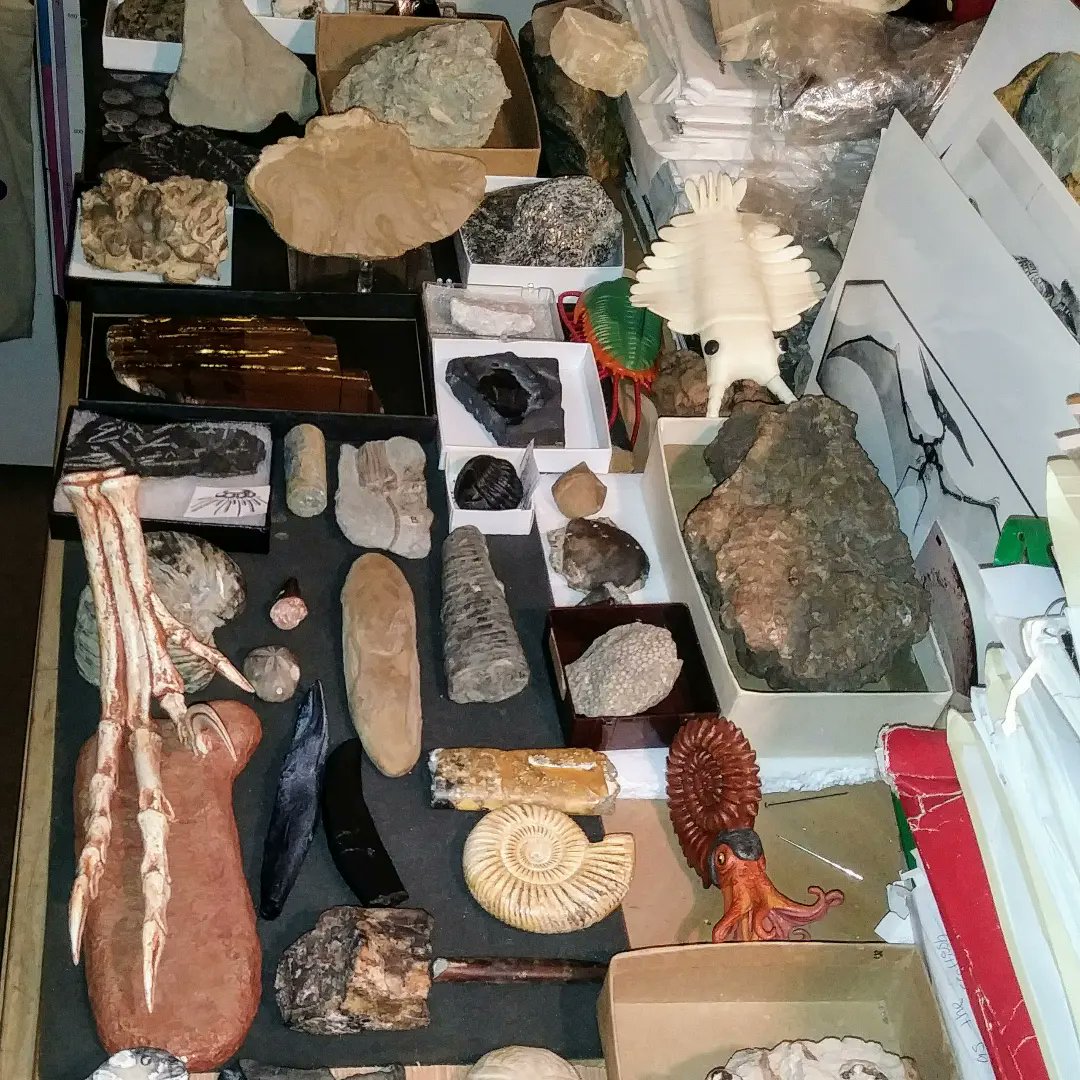 I am a Paleontology Educator. I communicate with the public on the 4.5 billion years of history of our planet. I make fossils and geological specimens available to general public...