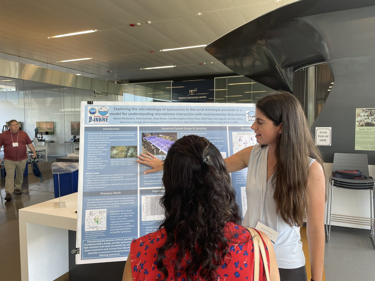 McgovernMeriel's tweet photo. Another amazing end to an awesome summer full of research and #astrangiathings. So grateful for the opportunity to present at my second SURF Conference @myrwu @RIEPSCoR @RIINBRE https://t.co/ct5EYCdqIR