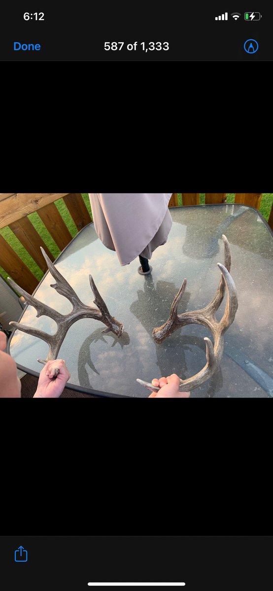 Jason wipf tweet media