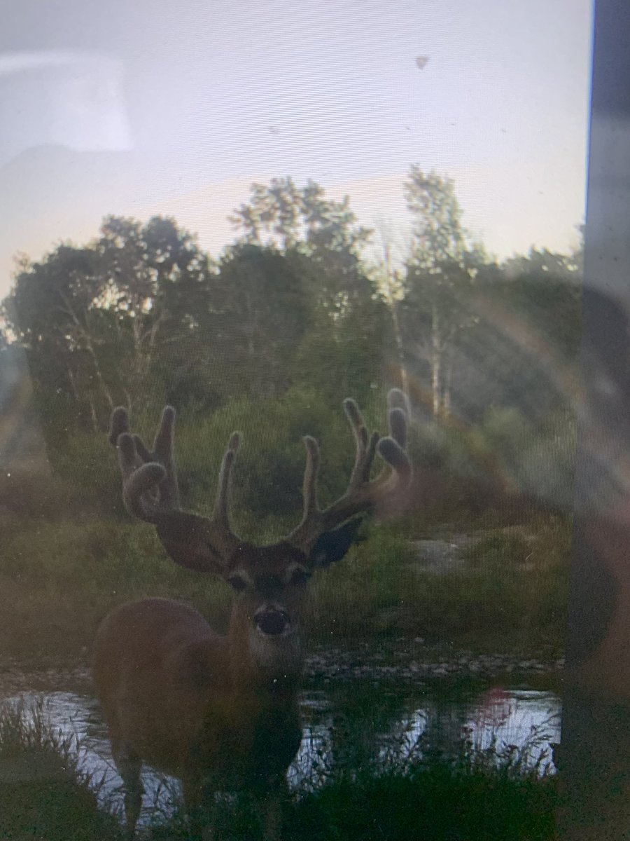 Jason wipf tweet media