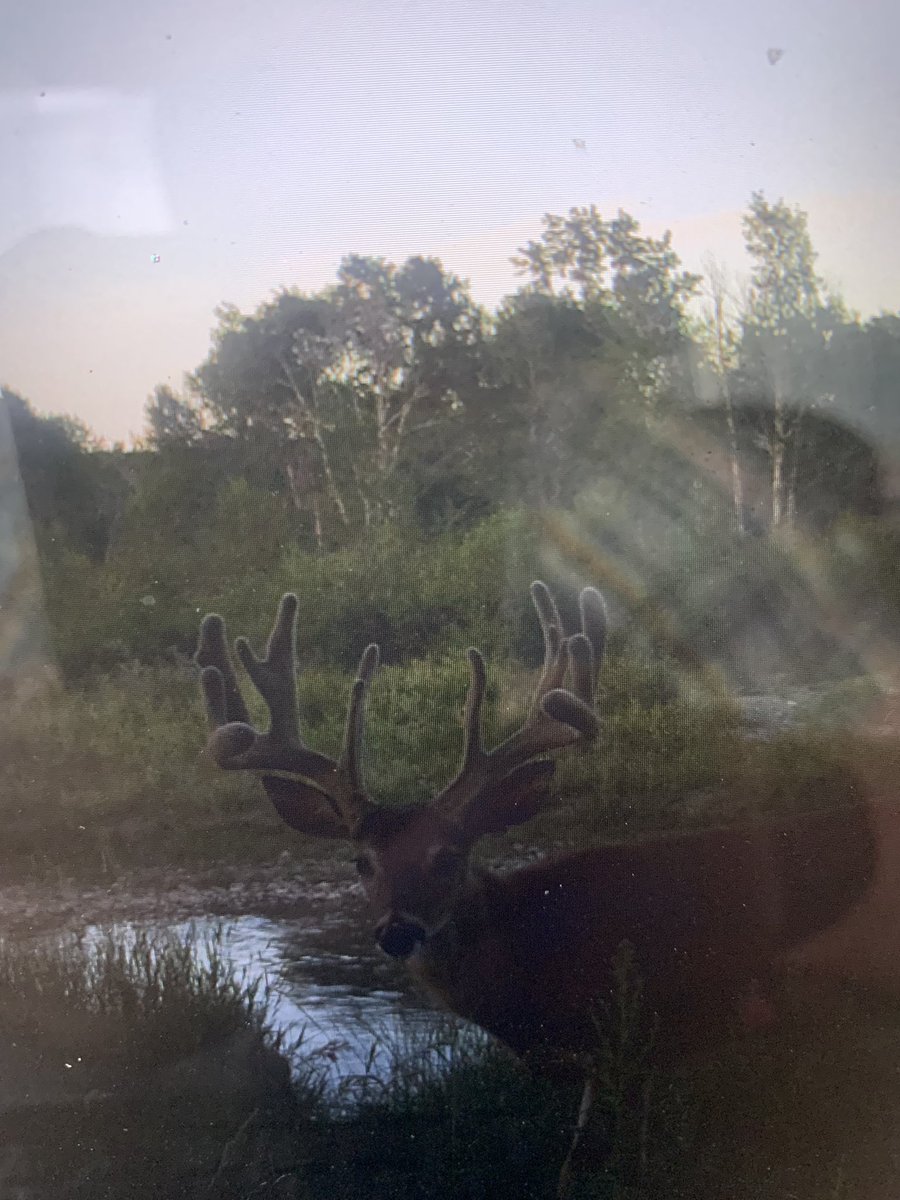 Jason wipf tweet media