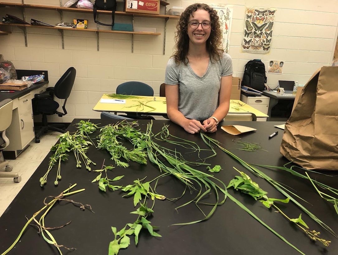 DocHPJones's tweet photo. So. Much. Biomass! We’re sorting the plant growth in 0.5x0.2m quadrats by species in 95 plots and by grass, wildflower, or dead stuff in another 95 plots. Here are Lizzy, @samberk_12 and @ReginaMFrancia sorting and carrying biomass.
#JonesLabDoesFieldwork (and lab work). https://t.co/rotkjIFh85