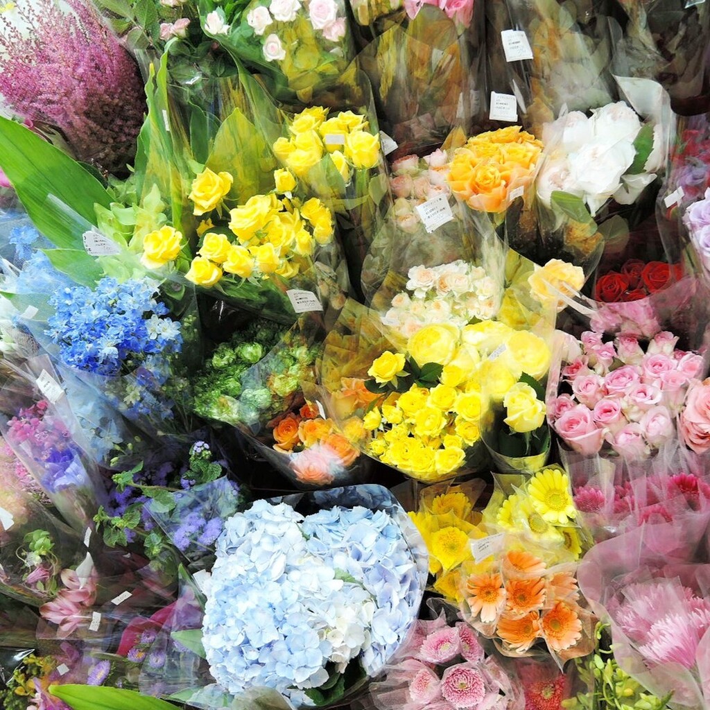 花と葉っぱの店 プント プント ネロ 本日も種類豊富です 選ぶのが楽しいです 花 生花 花のある暮らし お 花屋さん 花屋 岩槻 東大宮 プント プントネロ Fioristapunto Punto96 T Co Pwvxl4wezw T Co 4fmtaydzes Twitter
