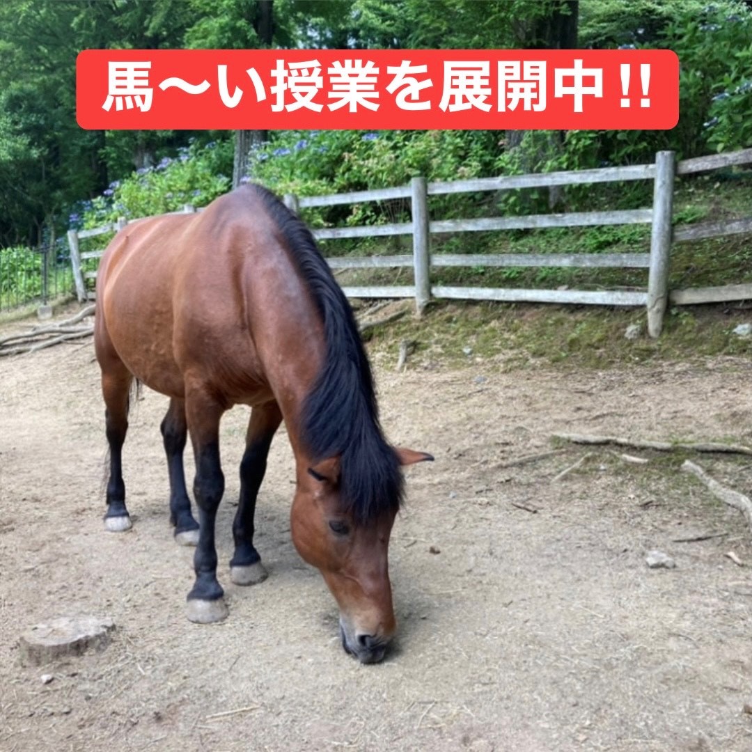 KECjpns_Kyoto's tweet photo. 一人50回以上の実技回数の当学院は皆、徐々にうまくなってるよ!! ★8月開始生募集中 途中入学大歓迎★10月期生も募集中!!
https://t.co/KQYSTAPxk4
https://t.co/HH1IFhCsoZ
https://t.co/M5ay1qwyqM
#日本語教師 #日本語教師養成講座 #日本語教師になりたい #日本語教師目指してます#京都 #オンライン https://t.co/gs5tr2VU0M