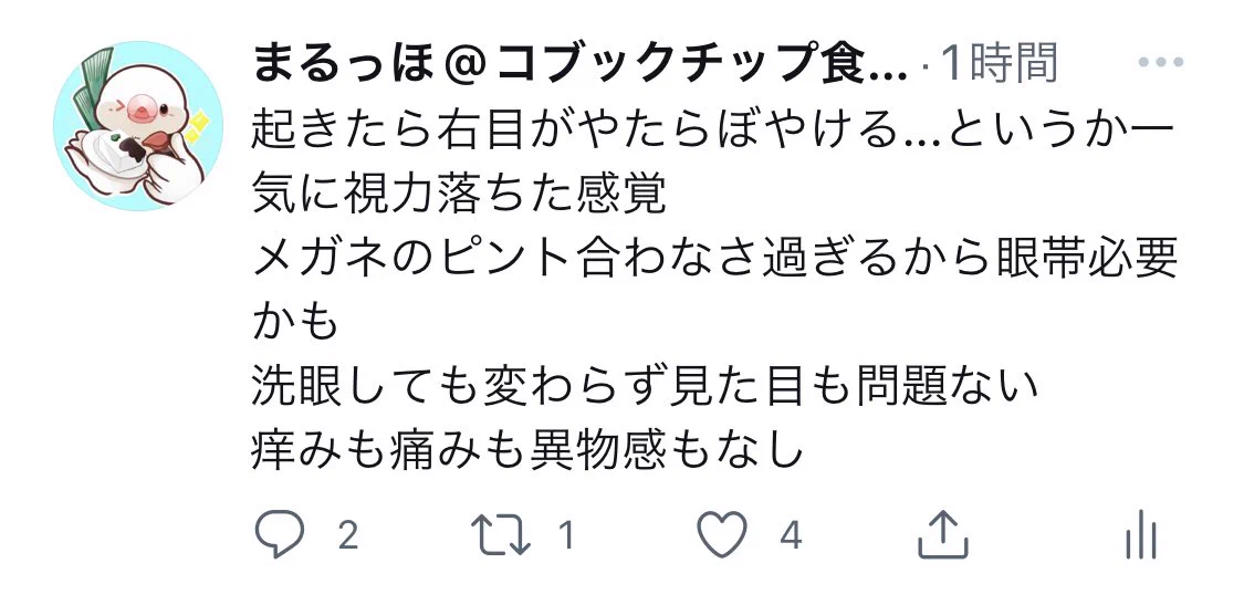片目だけ視力が落ちた…と思ったらメガネのレンズが外れていた！！