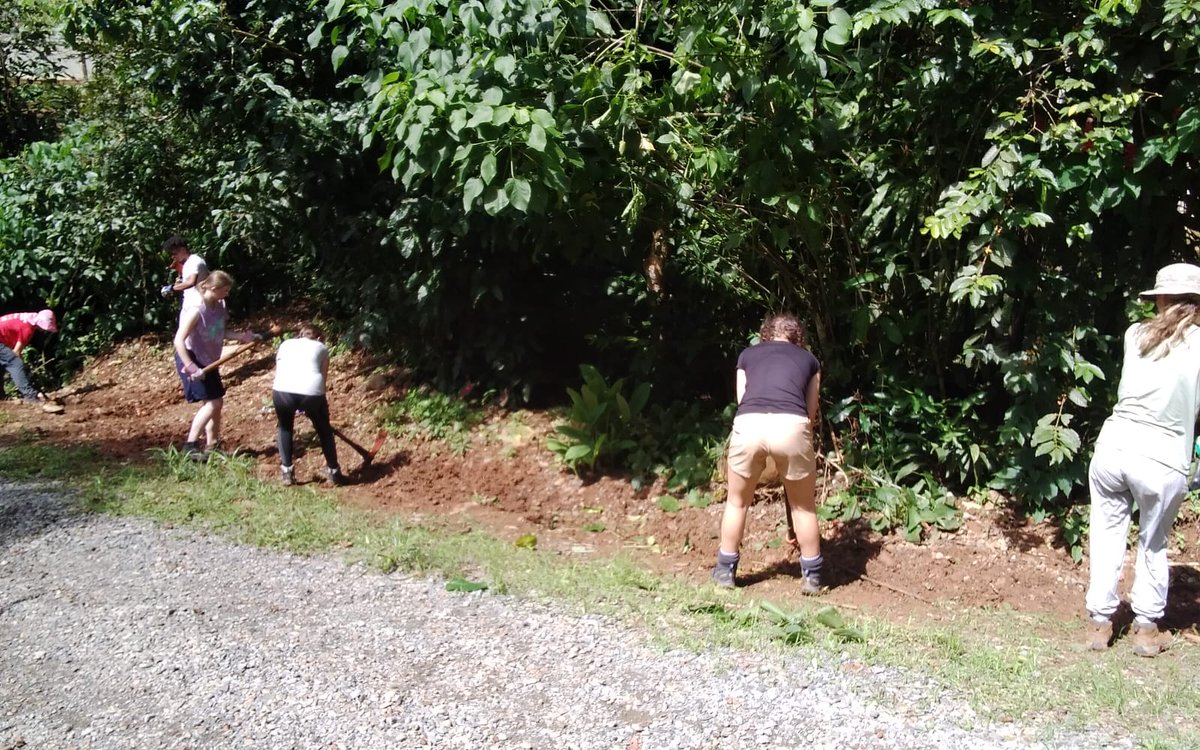 Camp Costa Rica tweet media
