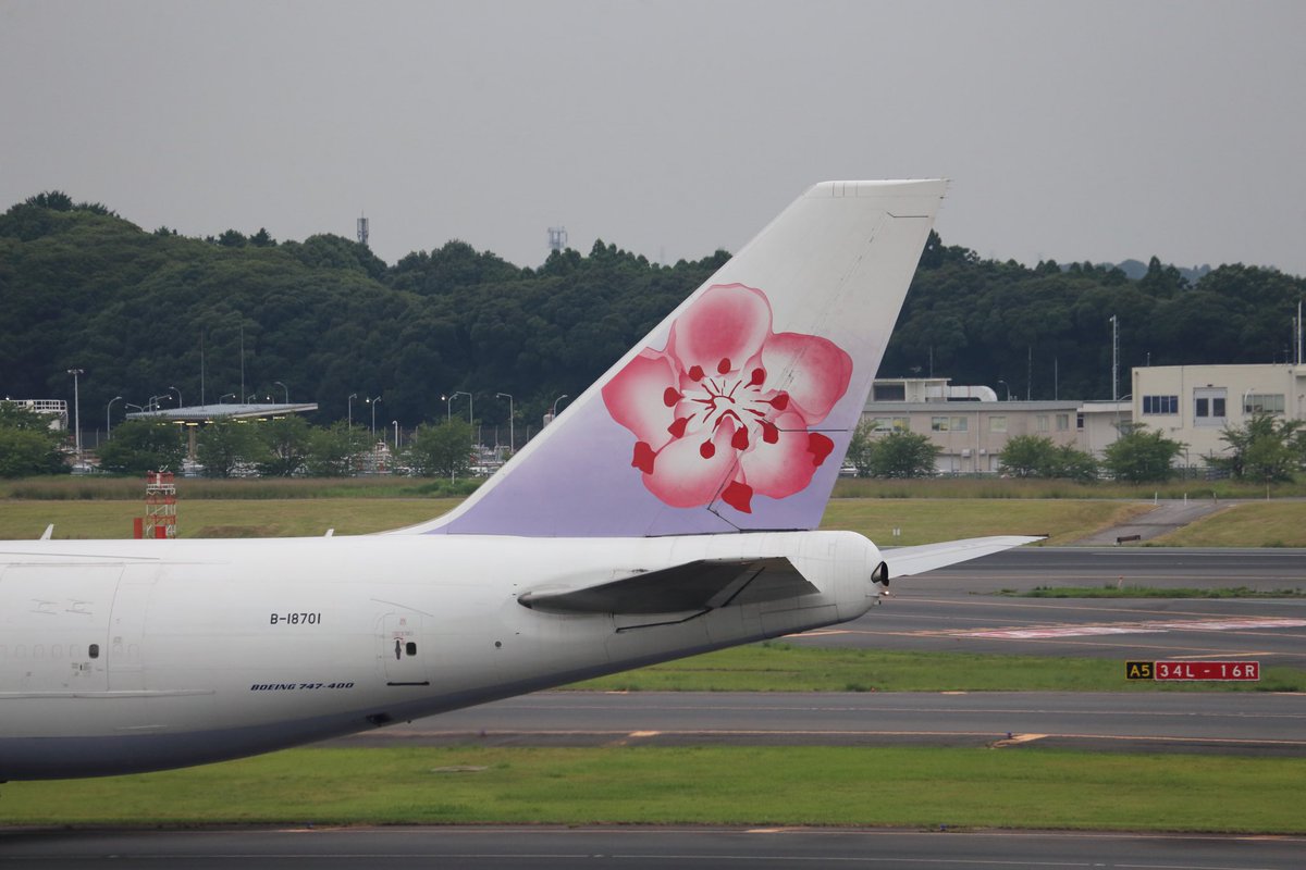 musonda_o's tweet photo. China Airlines
B747-400F B-18701
Tokyo, Narita Int'l Airport
Jul 3, 2022
#ChinaAirlines #CI #B74F #NRT https://t.co/cTON3ixRpW