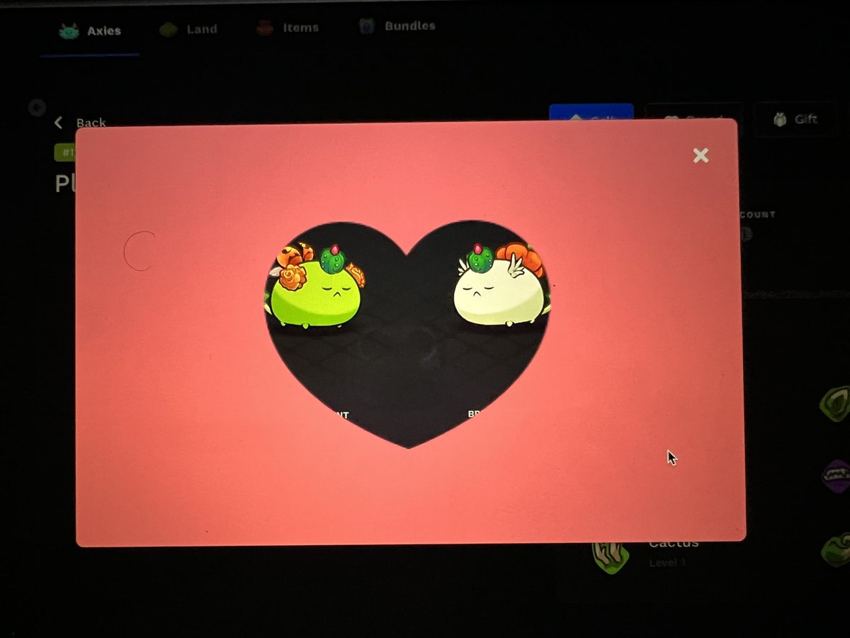 JACKPOT GUILD tweet media