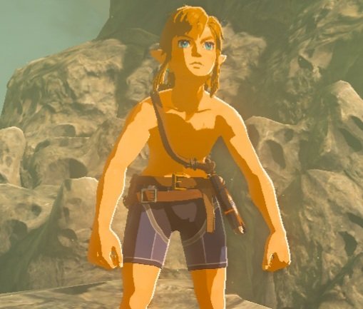 Linkle_408's tweet photo. I present to you The Hero of The Wild................😅😂

#TheLegendOfZelda #TheLegendofzeldamemes #BreathoftheWild #botwmemes #BOTW #ZELDATWT #ZeldaTwit #Zeldamemes #Zelda #zeldabreathofthewild #TLoZ #tlozmemes #tlozlink #tlozbotw #tlozbreathofthewild #breathofthewildmemes https://t.co/UYM09HtWgX