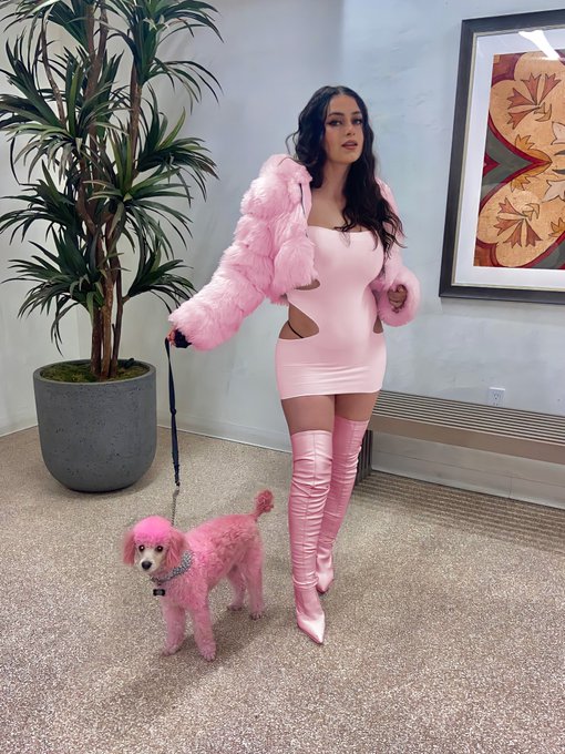 I have only two moods https://t.co/XMftPgzyK6