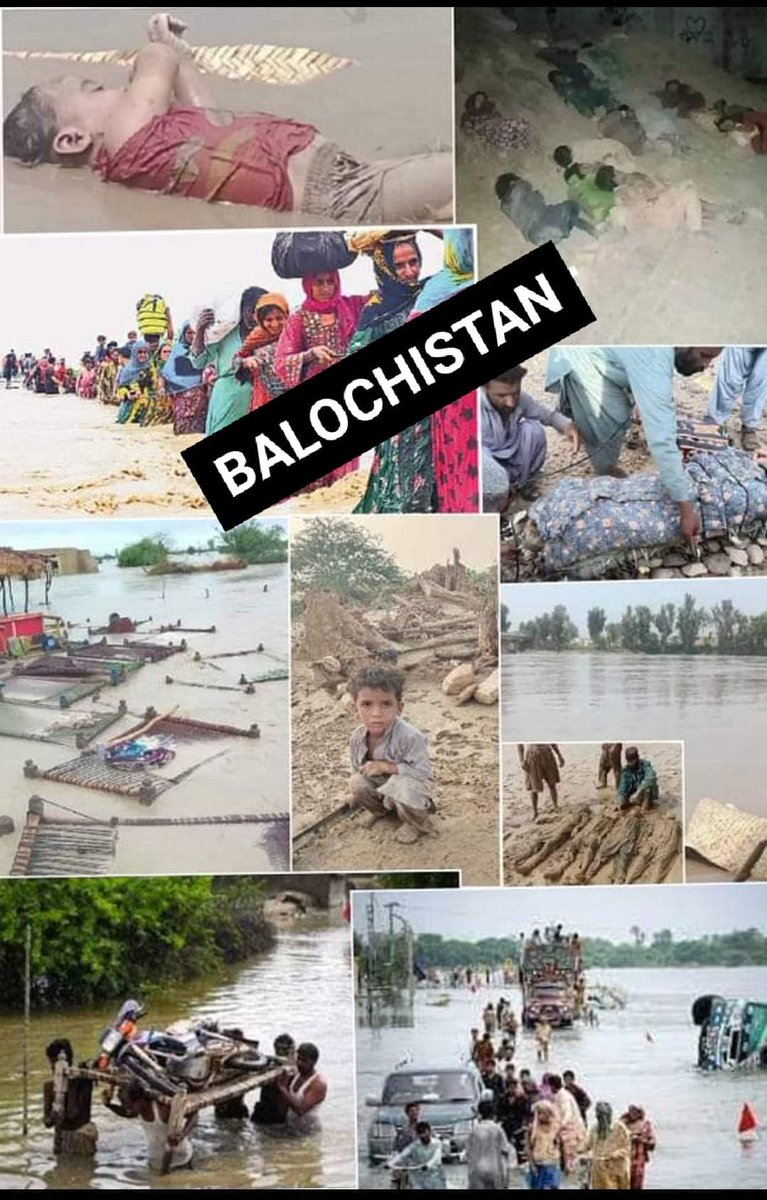 MLidhani's tweet photo. بلوچستان پکار رہا ھے 
تمام سوشل میڈیا ایکٹوسٹ بلوچستان کے لئے آواز اٹھائیں🙏🏻
@HamidMirPAK @Mir73
#خاموش_انتظامیہ_ڈوبتا_بلوچستان https://t.co/e2rMOPcDv6