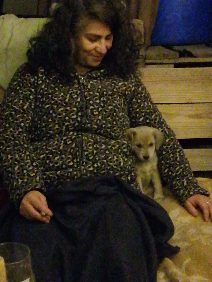 mopititita's tweet photo. Sólo para entendides #compas #companera #compita #cumpa #compañero 😍💜✊🏾🐕🍀👍🏾🌱💞🙏🏽😎🙌🏾
#laluchacontinua 
#abortolibrelegalseguroygratuito 
#LibertadParaLosPresosPoliticos #cultivolegalseguro 
@AnaMariaGazmuri https://t.co/N08CBjSDW9
