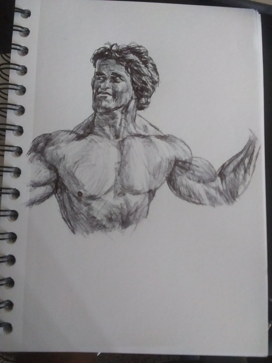 Tyartsanddesign's tweet image. First realist pen portrait.
#pensketch #portrait #arnoldschwarzenegger #penart