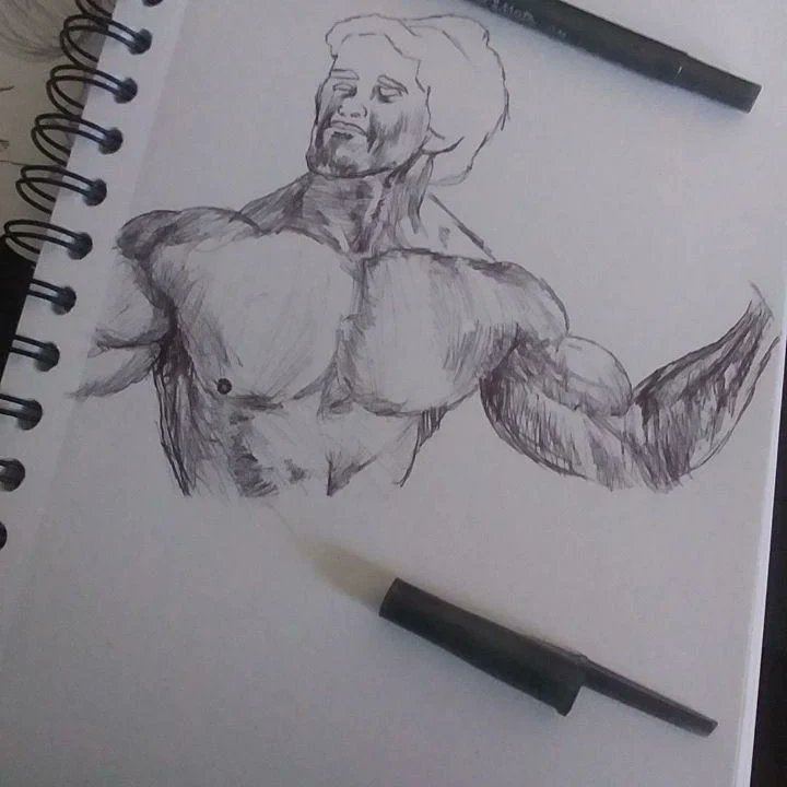 Tyartsanddesign's tweet image. First realist pen portrait.
#pensketch #portrait #arnoldschwarzenegger #penart