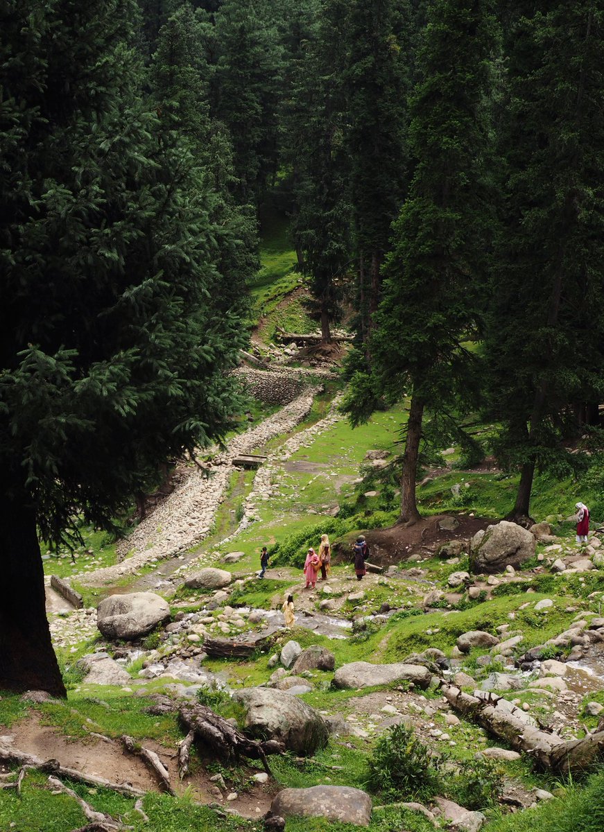 Glimpse of Kashmir, India.
ตอนนี้มาเที่ยวแคชเมียร์ อินเดียตอนเหนือ ดีมากๆ ไว้เดี๋ยวจะมาเล่าให้ฟังนะ 😃