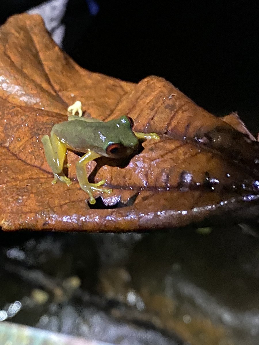 Steven Cassidy tweet media