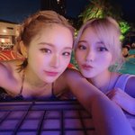 ツイートに含まれる画像