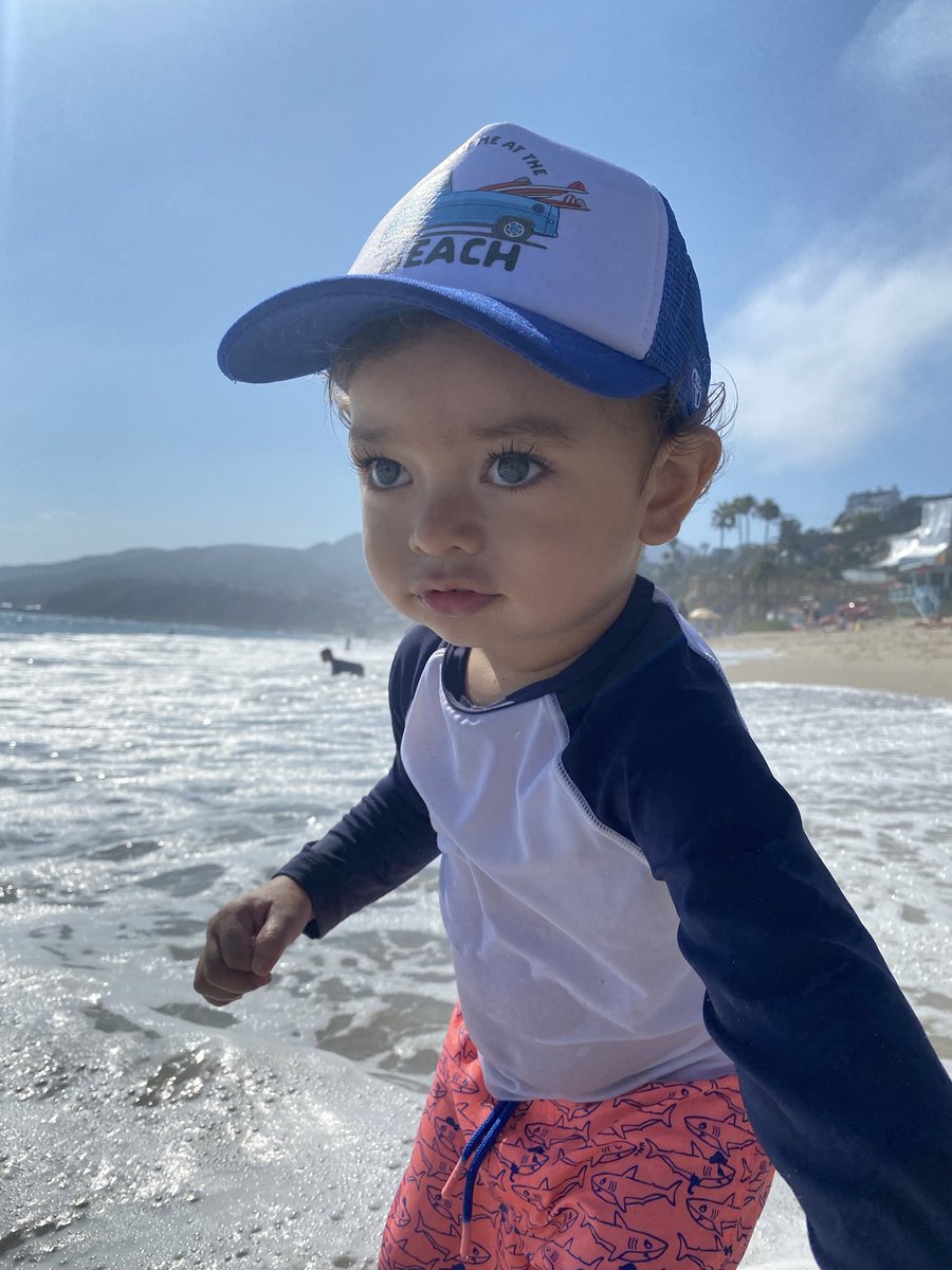 Jcq57's tweet photo. Is that a dolphin in the distance? https://t.co/c587qHer7a