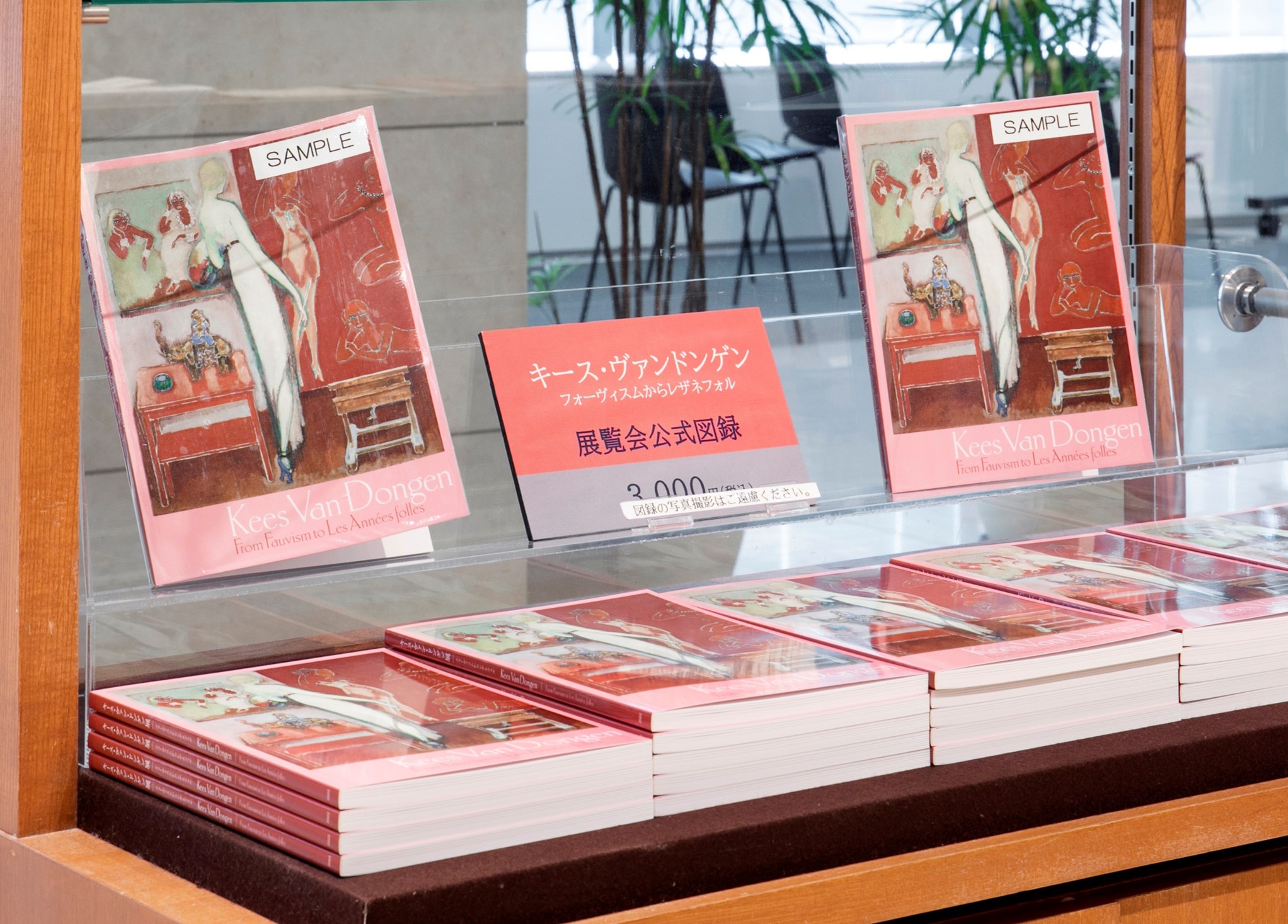 キース・ヴァン・ドンゲン、裸婦、希少な画集より、新品高級額装付、版上サイン入り キース・ヴァン・ドンゲン展」パナソニック汐留美術館で