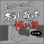 本当にあった…猫のミーコちゃんの怖いけどちょっといいお話!