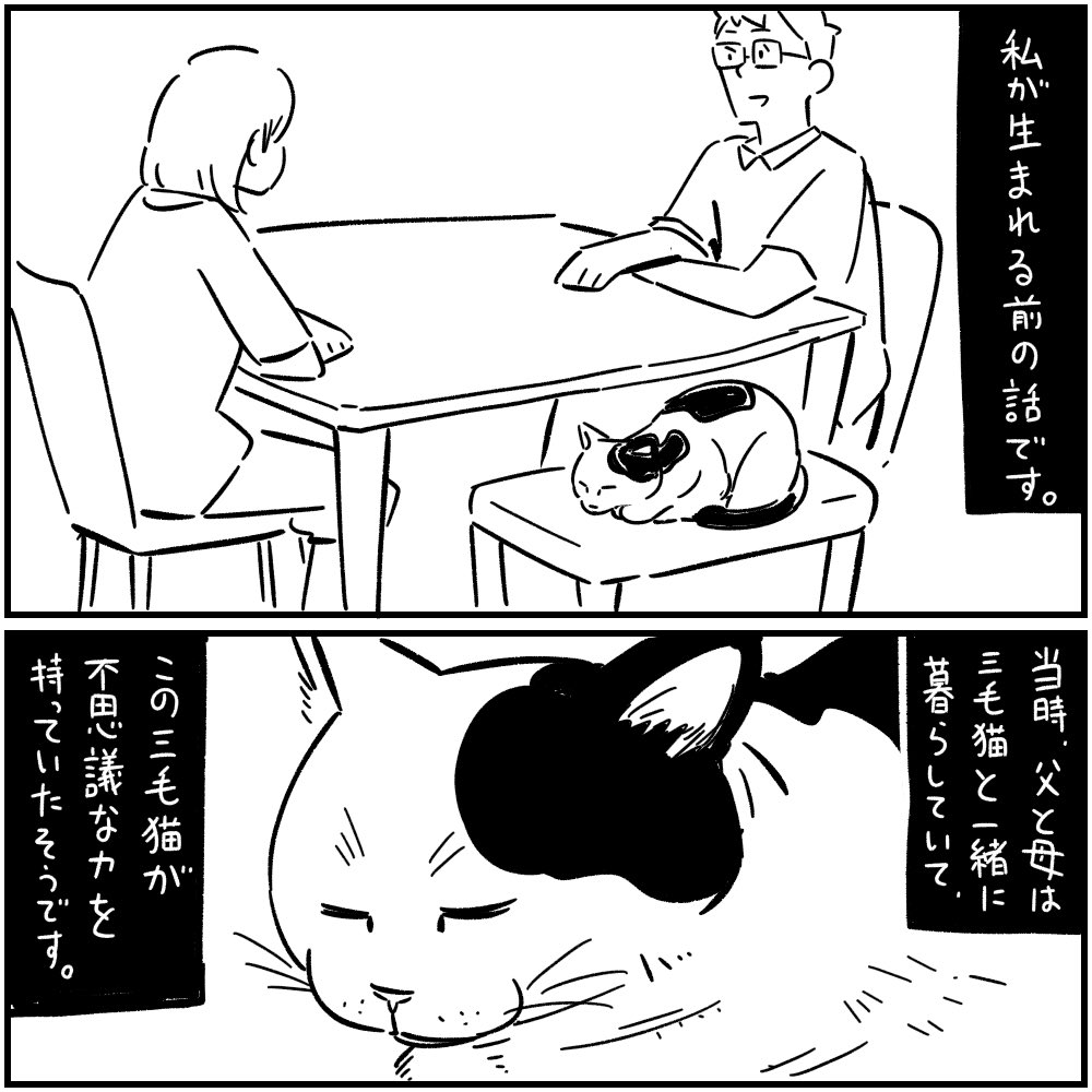 フォロワーさんの怖い話4
「猫のミーコ」1/3 