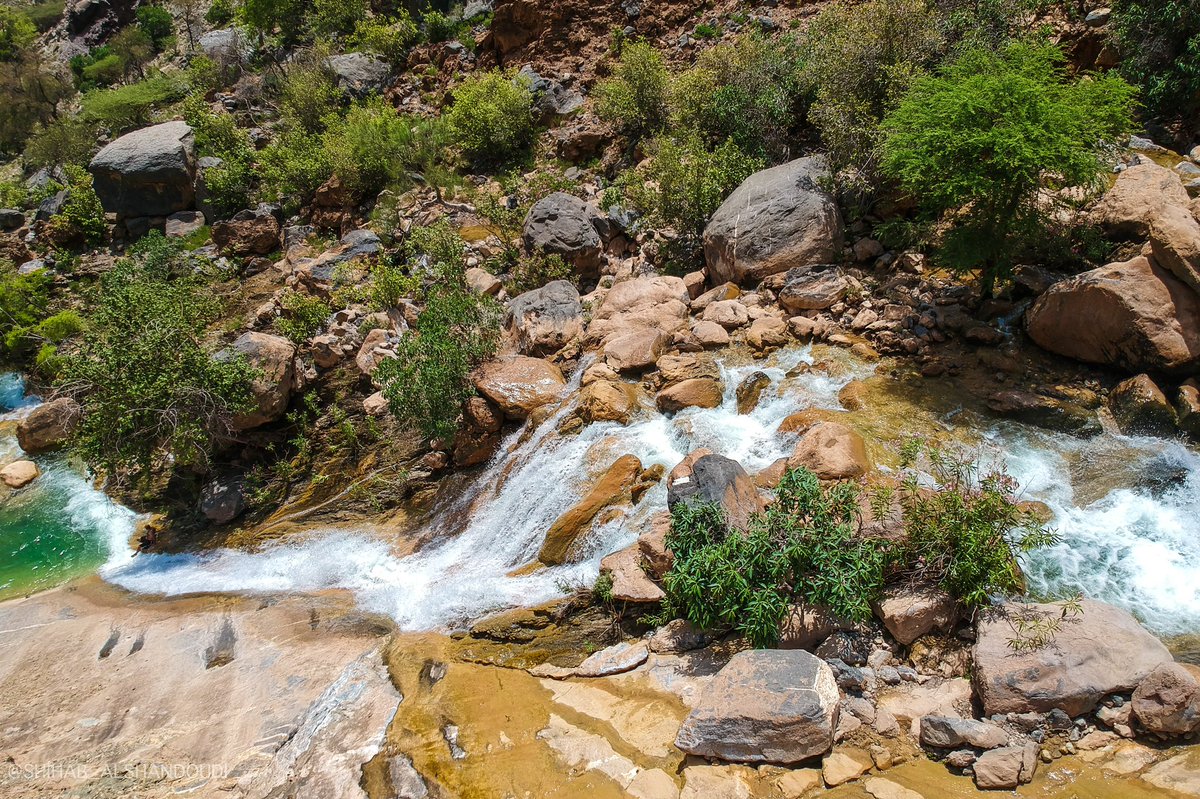 Shihabshandoudi's tweet photo. صور من // وادي #الهجر ، ولاية #عبري بمحافظة الظاهرة. 🌳🏊🏻🌴⛰.

#عُمان#للجمال_عنوان#اكتشف_عُمان
#عُمان_بعيونك https://t.co/tomnMRXj8B