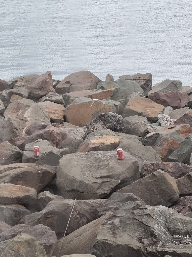 GrnTangerineCIC's tweet photo. Talking about behaviour - what about the mess that local fishermen leave behind? what is that all about?
The irony - polluting the very waters you catch fish
When will additional laws emerge to protect our environment and deal once and for all with this behaviour?
#Ecocide https://t.co/qdy8sh9uBx