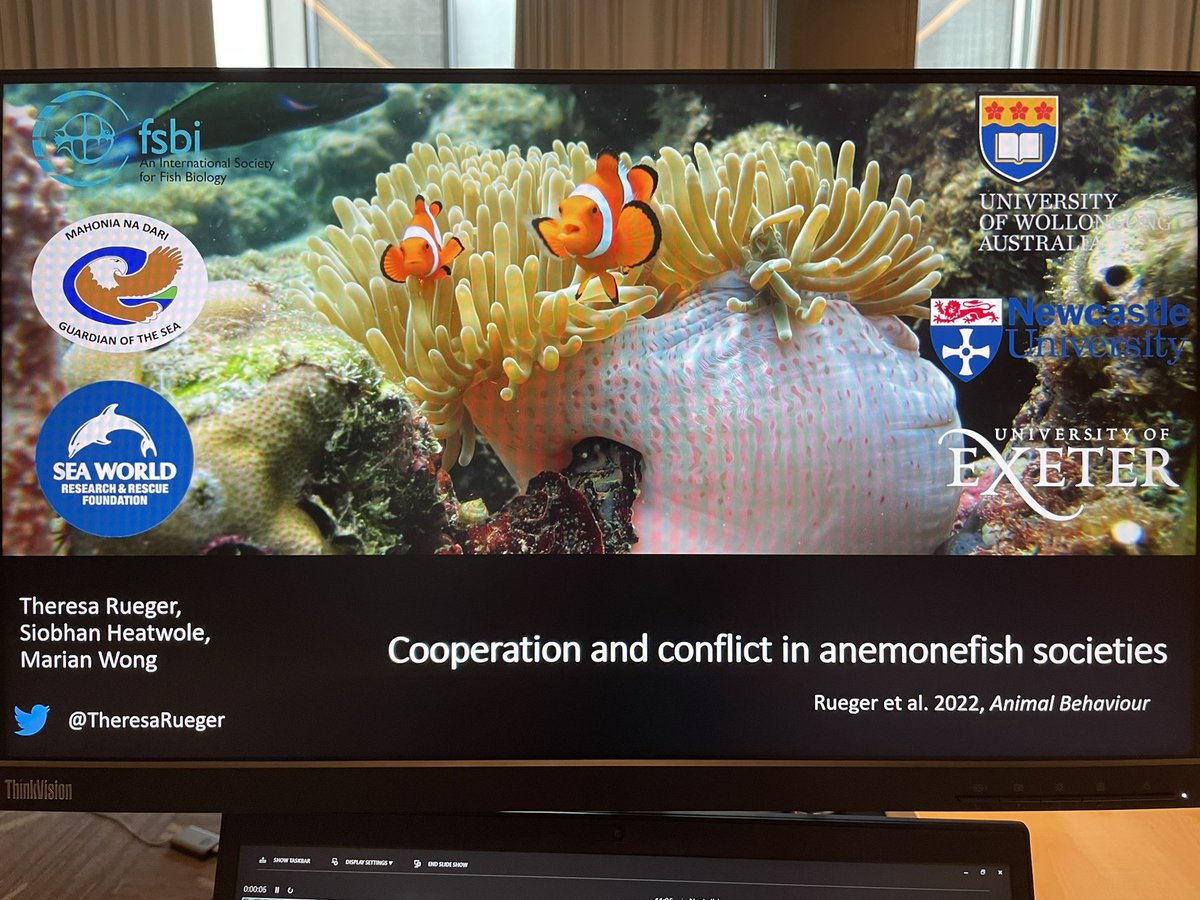 Talk uploaded and ready to go for the late afternoon session at #ISBE2022 (16:50 in C1) Thanks <a href="/TheFSBI/">fsbi</a> for the travel grant to get here, first few days have been wonderful!