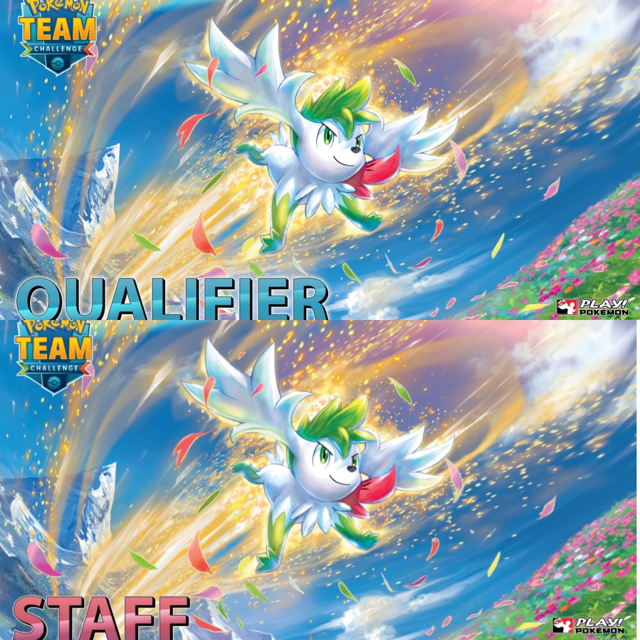 海外限定】ポケモンカード NCS 2016 STAFF プレイマット