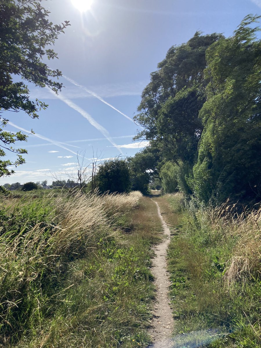 Well here I am in Suffolk !
I have met some lovely people  walked on the beach… walked across the marshes … met people for drinks, afternoon tea and chats in the lane!     Truly this is a blessing!