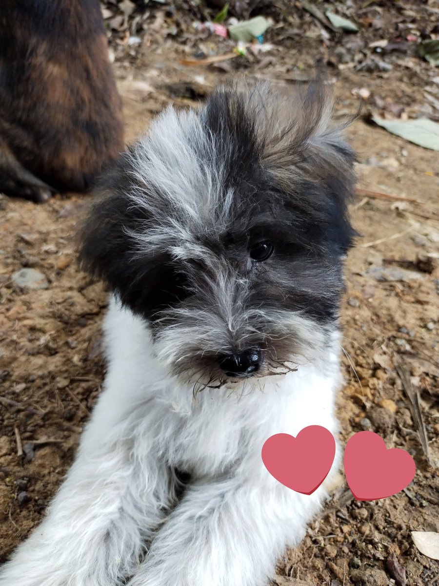 bubblejeeey's tweet photo. Cutiepiee!😘 https://t.co/CDeR64DfoW