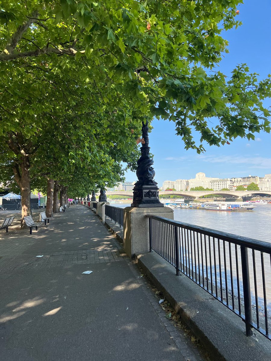 yerinventory's tweet image. 🐢🫧073022