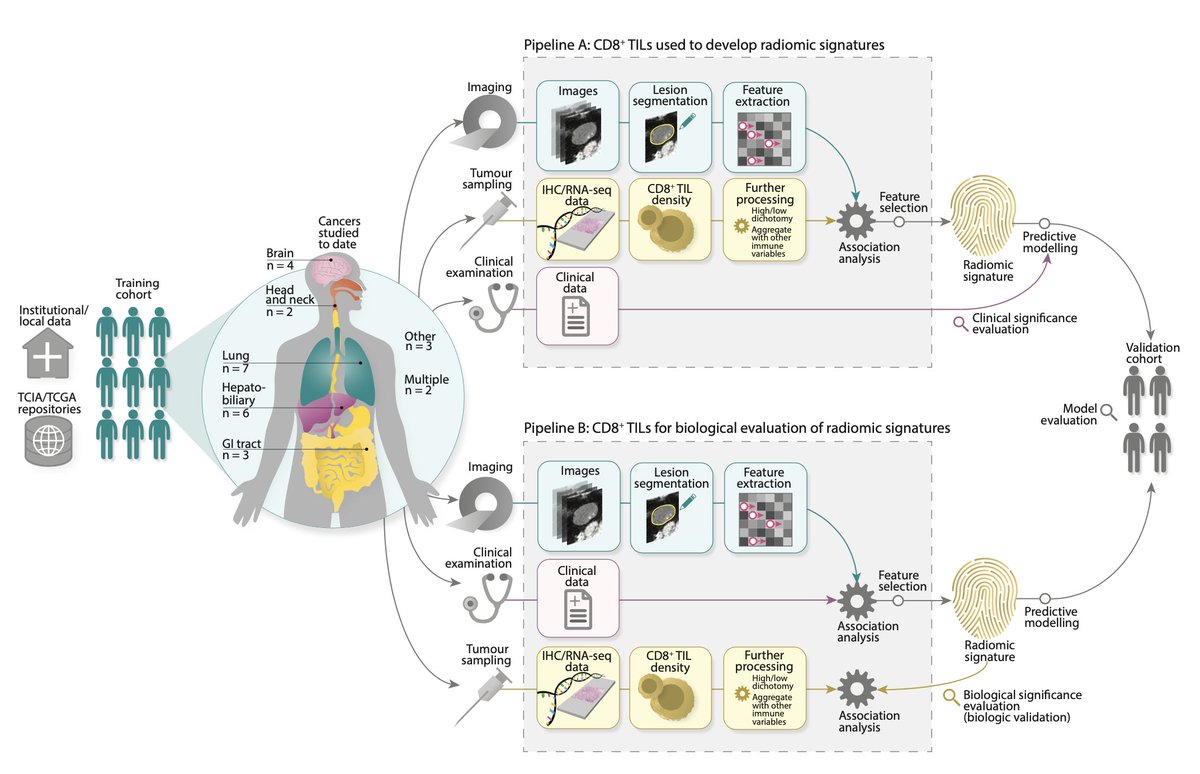 After a long journey back to Cambridge (w/ a 16-hr flight, no less!) I’m so happy to learn that our paper is out!

We teamed up w/ <a href="/radiomicsVHIO/">Radiomics Group</a> to explore radiomics &amp; CD8+ T cells in the literature! doi.org/10.3390/cancer…

🎉<a href="/KingaBarcelona/">Kinga Bernatowicz</a> David <a href="/RaqPerezLopez/">Raquel Perez-Lopez</a> <a href="/EvisSala/">Evis Sala</a> Gigi