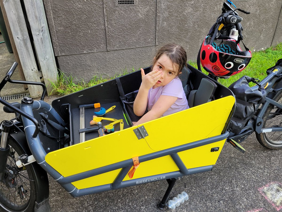 Ka_eke_Pahikara's tweet photo. OK so it's done, one #Load75 with high sides and a door. M6 loves the accessibility, though she does keep forgetting its there and trying to climb over the top! Wish this was part of the original design #RieseAndMuller https://t.co/vW84mCQrDw