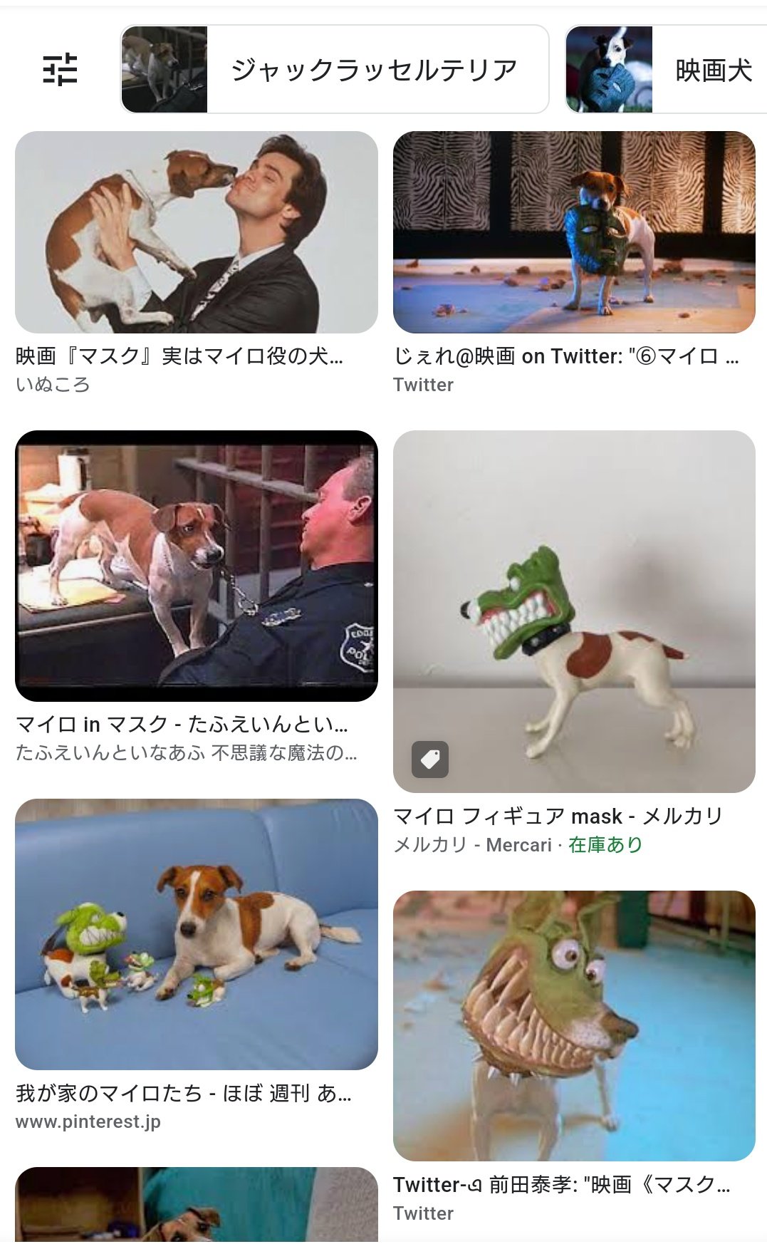 ナレイタ ジャック ラッセル テリア マスク見てからは この犬種はマイロと言うようになったw かわいい T Co Nsfe5ynbvc Twitter