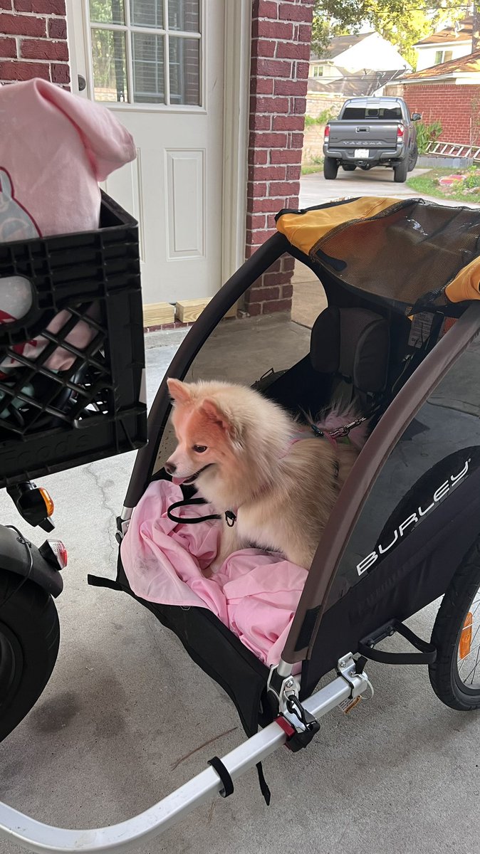 mousususususususu tweet media