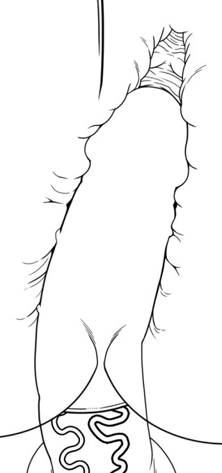 急遽思いついた割にはなかなかいいのでは?

スケルトンちんこ 