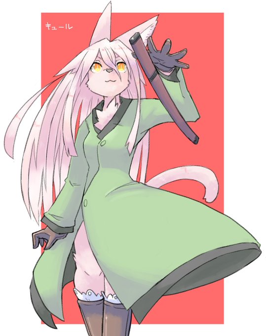 うちの代表ケモカプ・・・ 