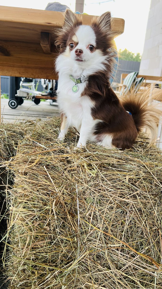 Люб, ты че tweet media