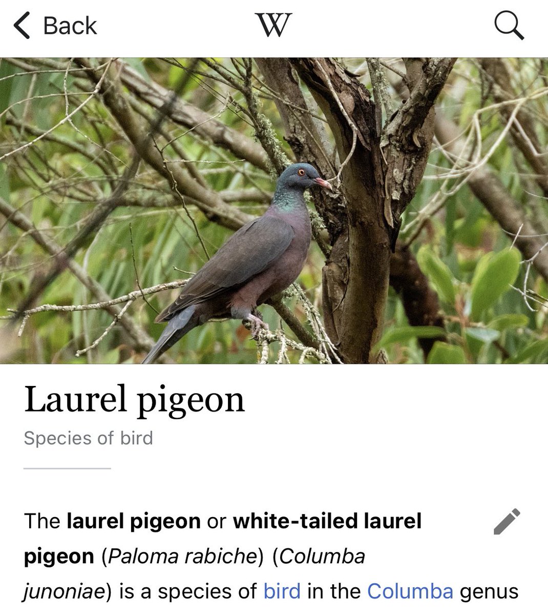 VisibleNature tweet media