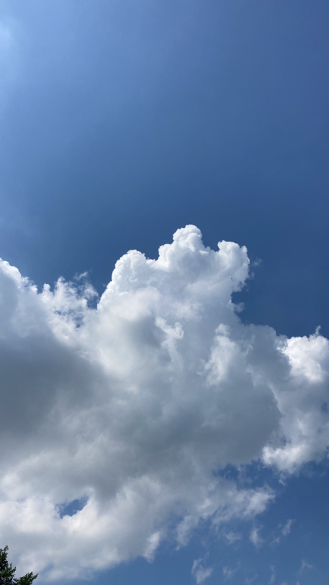 تويتر Ukulele على تويتر イマソラ 夏空 360度もくもく雲 エネルギーを蓄積してます 夕方は雷様 T Co Zwhreria2i